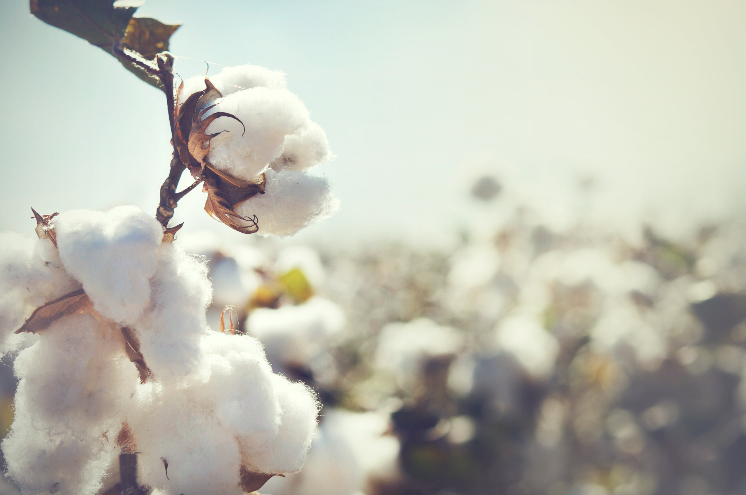 N is for…Natural Fibres