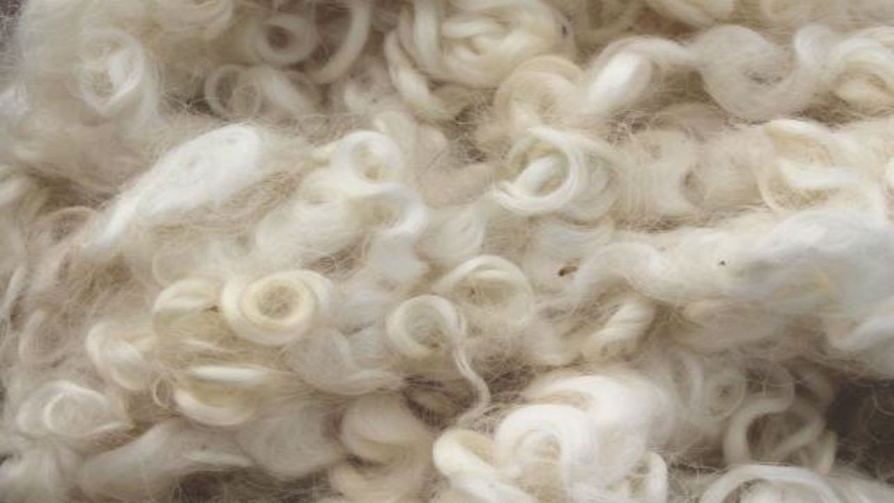 Fibre Guide: Wool