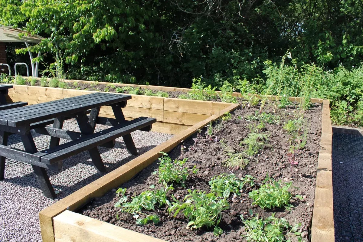 garden 2