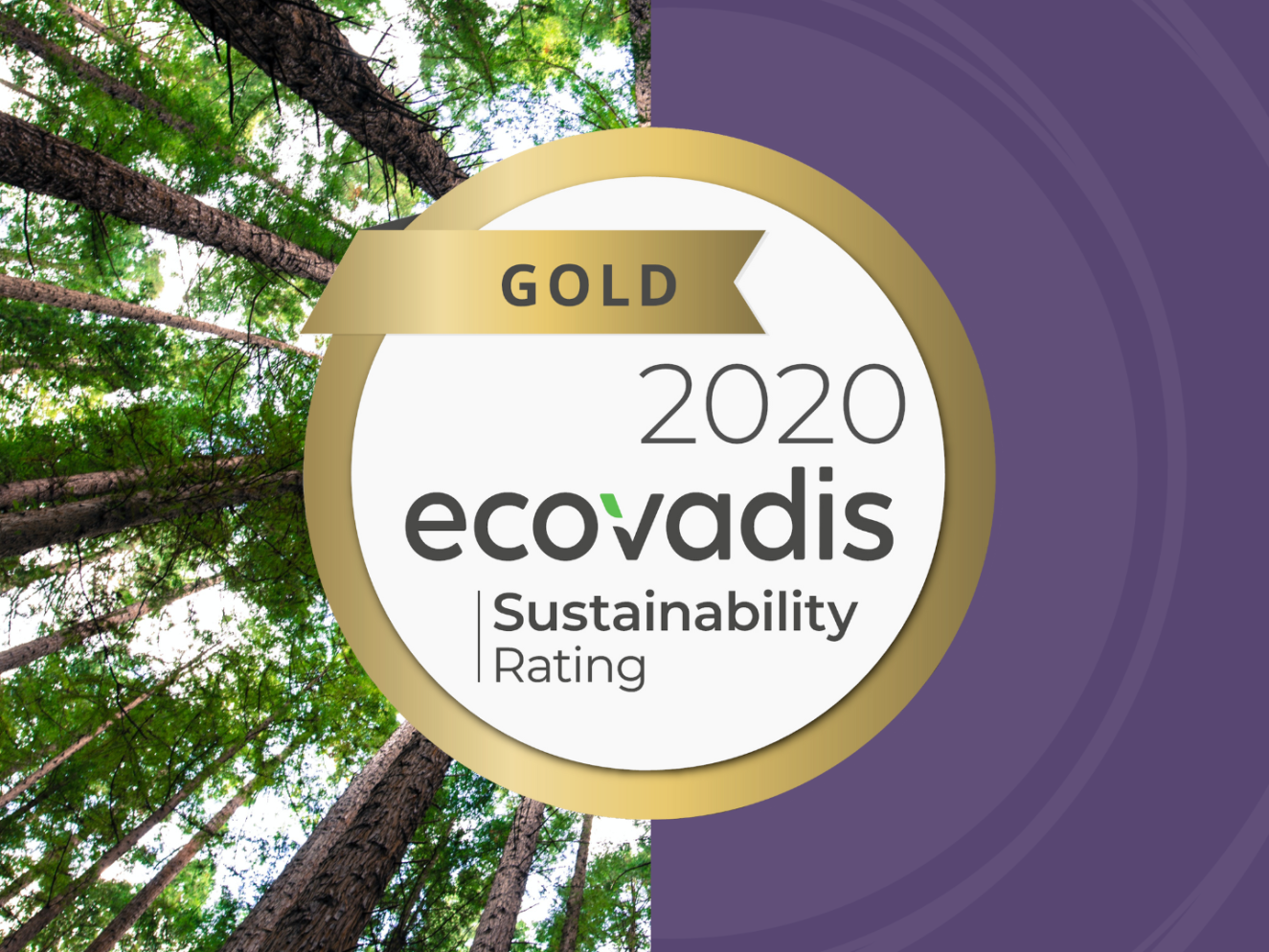 Mi Hub Awarded Gold Rating by EcoVadis