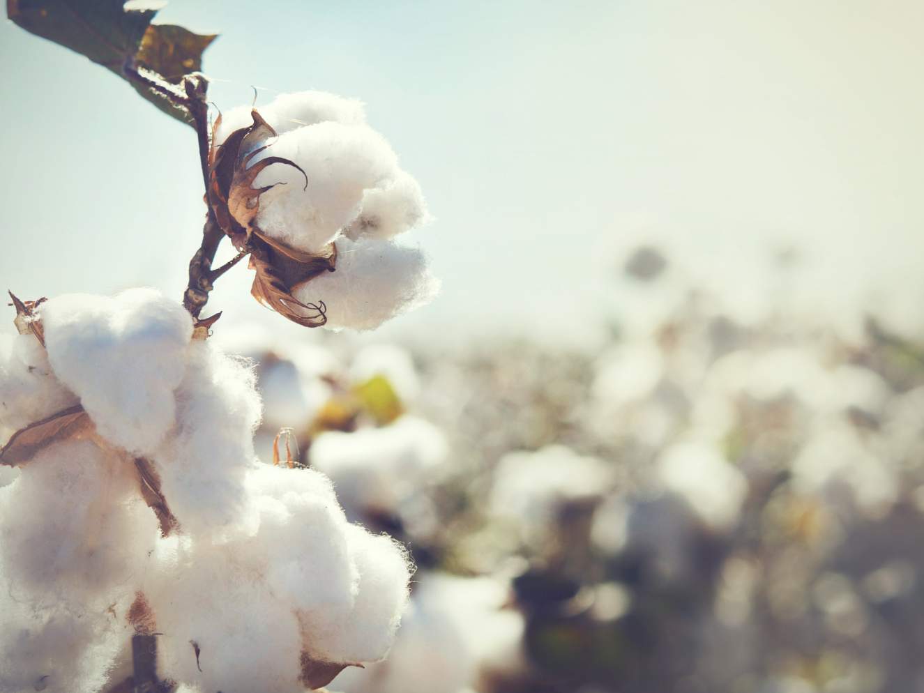 N is for…Natural Fibres
